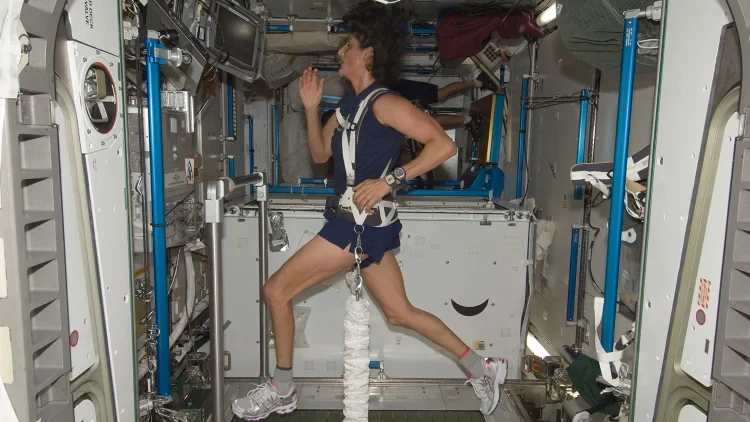 Spaceflight Leaves Heart Muscle Cell Strength Intact
